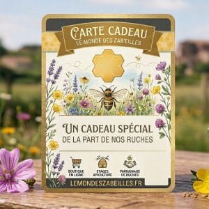 carte cadeau stage apiculture carte cadeau stage demi journée carte cadeau stage journée apiculture carte cadeau stage journée atelier abeilles bon cadeau au rucher de Daux