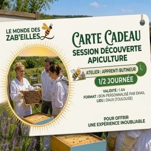 carte cadeau stage demi journée apiculture