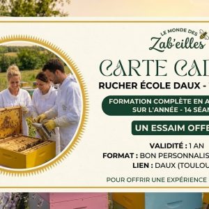 carte cadeau rucher école